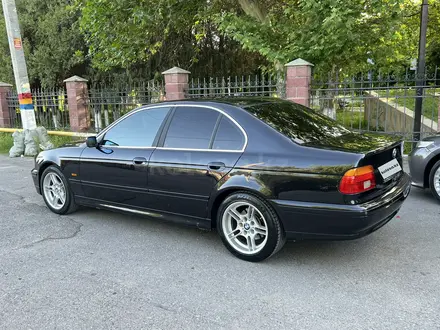 BMW 530 2001 года за 5 500 000 тг. в Шымкент – фото 5
