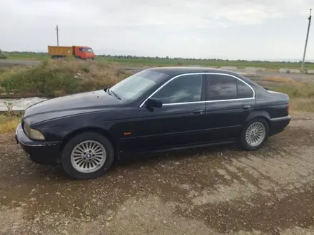 BMW 520 1998 года за 3 000 000 тг. в Тараз – фото 4