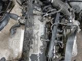 Двигатель на Хонда Одиссей F23A объём 2.3 трамблёрный за 420 000 тг. в Алматы – фото 2