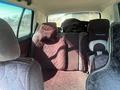 Volkswagen Golf 1995 годаүшін2 300 000 тг. в Астана – фото 13