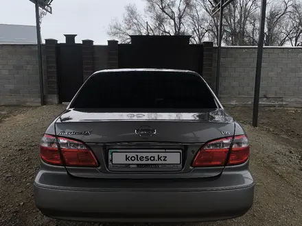 Nissan Maxima 2001 года за 2 400 000 тг. в Тараз – фото 8