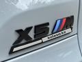 BMW X5 M 2024 года за 99 888 000 тг. в Алматы – фото 9