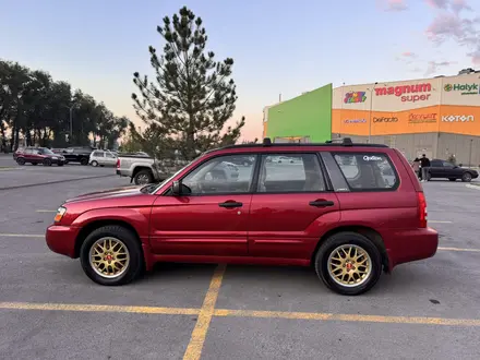 Subaru Forester 2003 года за 4 600 000 тг. в Алматы – фото 23