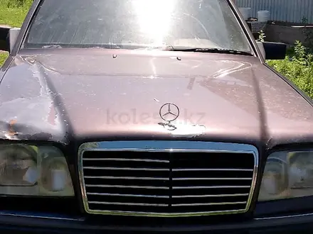 Mercedes-Benz E 250 1995 года за 1 700 000 тг. в Каскелен – фото 6