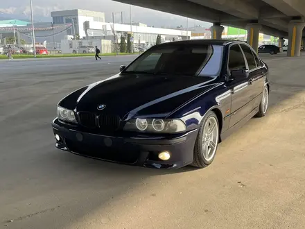 BMW 528 1996 года за 5 800 000 тг. в Алматы – фото 11