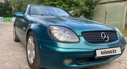 Mercedes-Benz SLK 230 1999 годаүшін3 300 000 тг. в Шымкент – фото 5