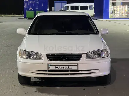 Toyota Camry 2001 года за 3 200 000 тг. в Усть-Каменогорск – фото 2