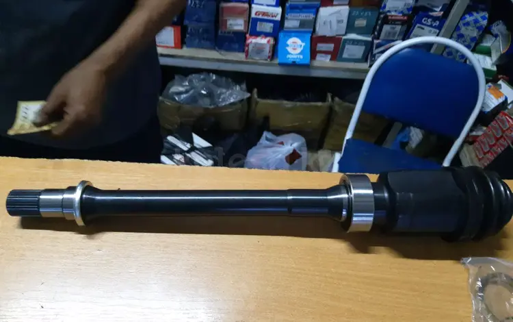 Внутренняя гранатаүшін25 000 тг. в Алматы