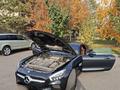 Юридическая проверка документов машины на Криминал Угон Проверка по VIN ВИН в Шымкент