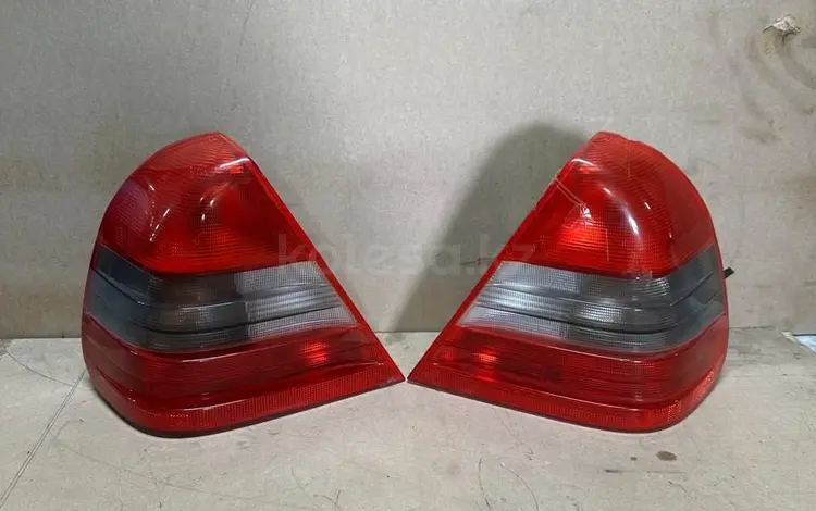 Задние фонари Mercedes benz w202 за 45 000 тг. в Караганда