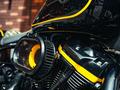 Harley-Davidson  Fat Boy 2023 года за 18 000 000 тг. в Алматы – фото 11