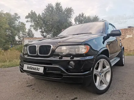 BMW X5 2002 года за 8 000 000 тг. в Талдыкорган – фото 8