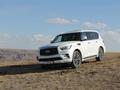 Infiniti QX80 Luxe 2022 года за 53 990 000 тг. в Алматы – фото 6