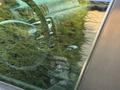 Toyota Camry 2001 годаүшін4 850 000 тг. в Шымкент – фото 23
