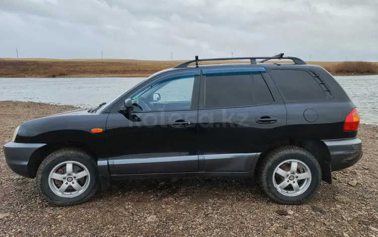 Hyundai Santa Fe 2003 годаүшін4 300 000 тг. в Новоишимский