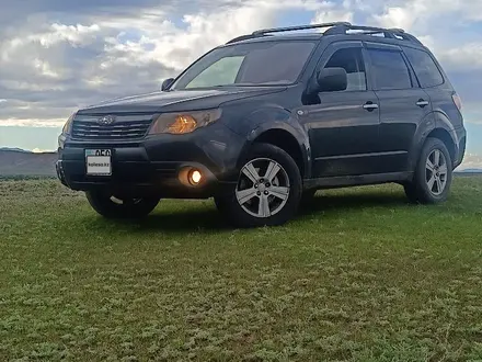 Subaru Forester 2008 года за 5 500 000 тг. в Алматы – фото 8