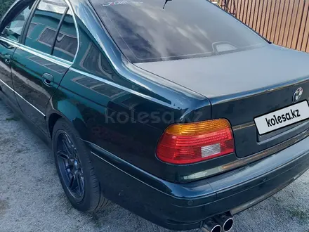 BMW 525 2002 года за 5 800 000 тг. в Костанай – фото 4