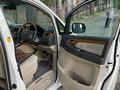 Toyota Alphard 2007 года за 9 200 000 тг. в Алматы – фото 12