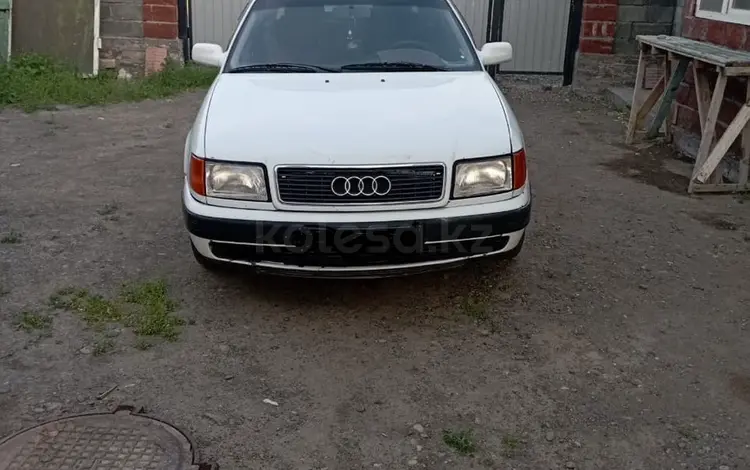 Audi 100 1991 годаүшін2 000 000 тг. в Ушарал