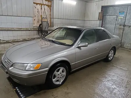 Toyota Camry 1997 года за 3 400 000 тг. в Шу