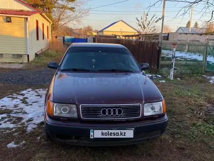 Audi 100 1993 года за 2 300 000 тг. в Петропавловск