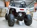 Polaris  Мотовездеход RZR 200 EFI WHITE LIGHTNIN 2024 года за 6 650 000 тг. в Алматы – фото 4