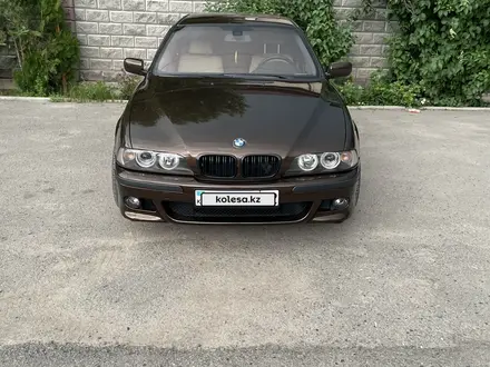 BMW 530 2000 года за 6 000 000 тг. в Алматы – фото 3