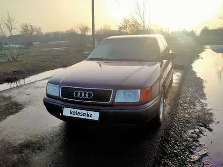 Audi 100 1993 года за 2 800 000 тг. в Кокшетау