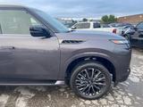 Infiniti QX80 2024 года за 88 000 000 тг. в Алматы – фото 4