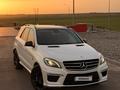 Mercedes-Benz ML 63 AMG 2013 года за 22 000 000 тг. в Алматы – фото 22