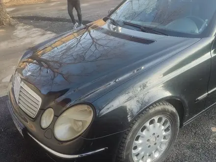 Mercedes-Benz E 240 2003 года за 4 500 000 тг. в Алматы – фото 3