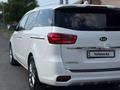 Kia Carnival 2019 года за 13 000 000 тг. в Шымкент – фото 4