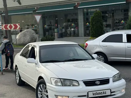 Toyota Camry 2001 года за 4 600 000 тг. в Шымкент