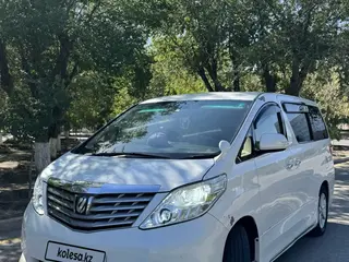 Toyota Alphard, 2010