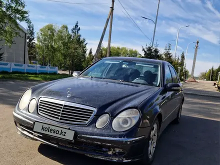 Mercedes-Benz E 240 2002 года за 4 500 000 тг. в Шымкент – фото 2