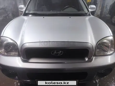 Hyundai Santa Fe 2003 года за 4 100 000 тг. в Астана – фото 27