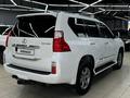 Lexus GX 460 2013 годаүшін20 000 000 тг. в Уральск – фото 4