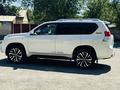 Toyota Land Cruiser Prado 2012 годаүшін15 700 000 тг. в Шымкент – фото 11