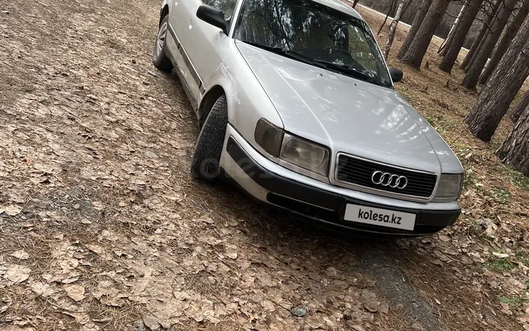 Audi 100 1992 года за 1 100 000 тг. в Петропавловск