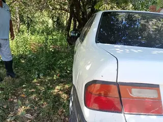 Nissan Primera