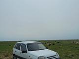 Chevrolet Niva 2004 года за 1 400 000 тг. в Бейнеу