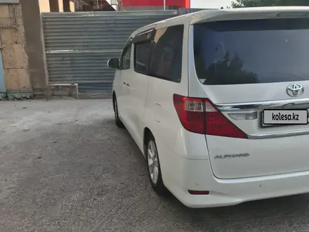 Toyota Alphard 2010 года за 7 500 000 тг. в Шымкент – фото 2