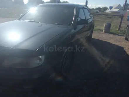 Nissan Cefiro 1996 года за 1 900 000 тг. в Алматы – фото 13