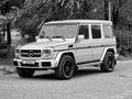 Mercedes-Benz G 500 2004 годаfor15 531 392 тг. в Алматы – фото 20