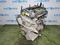ДВИГАТЕЛЬ FORD за 230 000 тг. в Алматы