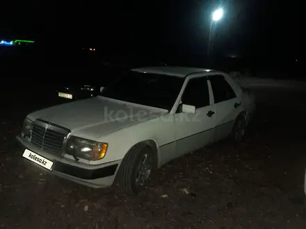 Mercedes-Benz E 200 1990 года за 1 100 000 тг. в Жайрем – фото 14