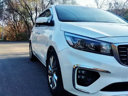 Kia Carnival 2020 года за 15 200 000 тг. в Алматы – фото 3