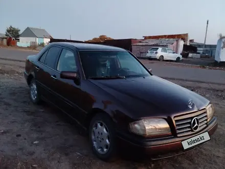 Mercedes-Benz C 180 1995 года за 1 300 000 тг. в Караганда – фото 14