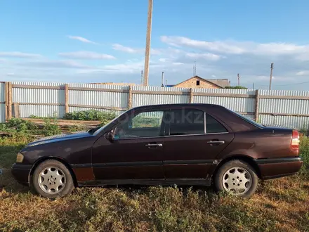 Mercedes-Benz C 180 1995 года за 1 300 000 тг. в Караганда – фото 22