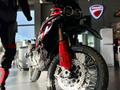 Ducati  DesertX 2024 года за 13 030 000 тг. в Алматы